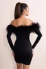 Robes décontractées mode sexy plume slash cou longue manche noire couleur mini robe femme anniversaire fête dame dame vestido