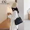 Shoulder Bags Cvvo Glmc Stone Pattern Chain Bag Fashion Casual Messenger Shopping Luxury Female Handbag