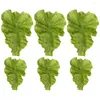 Fleurs décoratives 6pcs Simulation Laitue laisse un légume artificiel faux modèle de modèle réaliste pour le jeu de jeu PO décor