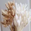 Decorative Flowers Natural Dried Tail Grass 110-120pcs Lagurus Ovatus For Boho Decor Flower Arrangements Wedding Home