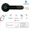 Contrôle Bluetooth Lock ttlock Smart Home Door Lock Alexa Google Home Biométrique Biométrique Lock Electric Handle Great Lock Porte en bois
