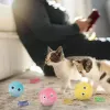 Toys Smart Fluffy Plush Cat Ball Toys Interactive Chirping Balls Cat Kicker Toys 3 Lifelike Animal Sounds Fun Kitty Kitten Toys