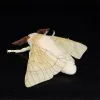 Cushions 27x33cm Silk Moth Fidelity Silkworm Plushie Fly Plush Toys Lifelike Insect Animals Simulation Stuffed Doll Kawai Toy Gifts Kid