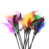 Toys 5pcs15st Cat Toys Feather Wand Kitten Cat Teaser Turkiet Feather Interactive Stick Toy Wire Chaser Wand Toy Random Color