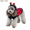 Parkas Warmhut Ny Ladybug Dog Costumes Pet Halloween Cosplay Hoodies bedårande nyckelpiga kattdräkt Animal Fleece Warm Outfits kläder