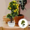 Flores decorativas Simulación de árbol de frutas artificiales Descripción falsa Desktop Bonsai PVC Simulada Oficina Fin