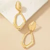 Other Cold Wind Earrings Female Hollow Irregular Exaggerated Earrings 240419