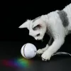 おもちゃエレクトリックペットボールカラフルなLEDローリングフラッシュボールベルフェザーUSB充電式ボールおもちゃ猫犬用