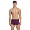 Underpants 1 pcs/lotto uomo sexy biancheria bianche da uomo pugile comode mutandine nylon man fx014