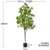 Dekorativa blommor Bell Drunken Horse Banyan Simulation Green Plant Bionic Fake Trees Potted Inomhus vardagsrum Showcase Decoration