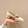 Sukienka buty 2024 Spring Summer Kobiety Niskie obcasy Nowoczesne modne pary Pumps Square 3,5 cm D083