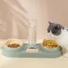 Dostarcza miski dla kota z podwójnym psem z dozownikiem wody naczynia kota dla zwierzaka do łatwego odłączania mokrej i suchej miski