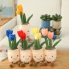 Animaux dessin animé plante verte cactus tulip succulent fleur en peluche jouet en peluche souriante face colorée de bureau de maison de maison cadeau