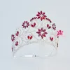 Sieraden kronen tiaras roze en rode strass kristal verstelbare hoofdband bruids bruidshaar sieraden tiaras optocht koningin kroon mo241