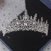 Halsband lyxiga silverfärg CRYSTAL BRIDAL SMYCKEL SETS RHINESTONE TIARAS CROWN EARRINGS CHOKER Halsband Kvinnor Bröllop Dubai smycken