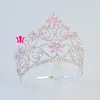 Sieraden kronen tiaras roze en rode strass kristal verstelbare hoofdband bruids bruidshaar sieraden tiaras optocht koningin kroon mo241