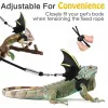 Leveranser Justerbar Reptil Lizard Gecko Skäggig Dragon -sele och koppel för utomhus Pet Chameleon Supplies