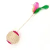 1PC Cat Toy Simsal Scratfer Ball Training Interactive for Hitten Pet Supplies Feather Toys 240410