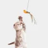 Speelgoed simulatie vogel katten speelgoed intrekbaar hangdeur type kat krassen touw muis grappige selfhey interactieve muis speelgoed huisdieren benodigdheden