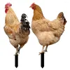 Garden Decorations Decoration Outdoor Signs Decorative Lawn Stakes Animal Chicken Courtyard Ornaments For Patio And