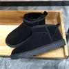 Designer Fashion Mini Snow Boot Platform Women Fur Sheepskin Tasman Winter Ankel