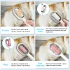 Grooming 4 i 1 Pet Grooming Brush Cleaning Massage Remover Comb för Cat Dog General Supplies With Water Tank Pets Products Tillbehör