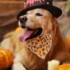 Köpek Giyim Cadılar Bayramı Pet Önlükleri Kabak Pets Kostümleri Aksesuarlar için Rahat ve Yaratıcı Yumuşak Üçgen Eşarp