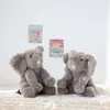 OEM Custom Stuffed Grey Elephant Toy Made in PV Material