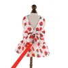 Hundkläder Strawberry Print Dress Pet Princess Leash Set ADORABLE Bowknot Decoration For Spring Summer Outdoor Activity