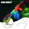 Andra fågelförsörjningar 1st Pet Parrot Leg Ring Ankle Foot Chain Budgies Harness Leash Outdoor Flying Training Activity Opening Stand