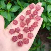 Charms 10st Natural Strawberry Quartz Flower Carving Mineral Stone Crystal Figurine Healing Quartz Reiki Söt festival Gift 13mm