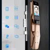 CONTRÔLE EGFirtor Empreinte digitale Smart Face Recegnative Auto Door Lock Pala Impression avec mot de passe de la carte IC de la carte IC Backup Unlock pour le bureau à domicile