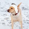 Dog Apparel Lovely Comfortable Friendly To Skin Hat With Earmuffs Pets Warm Headwear Pet Supplies