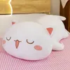Super Soft Peach Cat Sleeping Pillow med kudde, benklämman plysch leksaksdockkudde för flickans födelsedag
