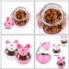 Toys Cat Food Ball Dispenser, Small Cat Food Balls Slow Feater Mössformade Tumbler Cat Food Toy Cat Treat Toy Feacher Toy for Training