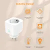 Контроль Refoss Smart Home Предварительно разбитый Tasmota Eu Wi -Fi Plug 16a с энергетическим монитором работает с Googel Home Assistat Alexa