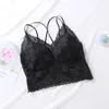 Camisoles Tanks Sexy Sexe Women's Lace Bras Top Top avec tasses bralette solide ajouter un tampon de base tops de base de beauté