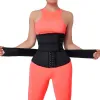 Cintos Treinador da cintura Modelagem Modelagem do espartilho Treinador de cintura Thermo Slimming Belts para mulheres ligantes e modeladores de mulheres