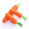 Toys Carrot Pet Cat Toy Paper Rope Chew Toy Builtin Bell Small Animals Cute Pet Toy Wholesale