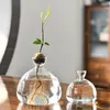 Vasos elegantes árvores de cultivo Tabela de mesa central plantadores de resistência ao calor Plantas de vidro vasos de flores decoração de casa acessório de jardinagem