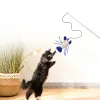 Spielzeug Pet Cat Teaser Multi -Farbvogel Feder Plüsch Katze Holz interaktive Katzenfänger Stick Maus Fisch Katze Interaktive Spielzeug mit Glocke
