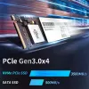 Antriebs Gudga SSD NVME M2 Interne Festplatte 2TB 1TB 512 GB 256 GB 128G PCIE 3.0 x4 für Laptops -Tabletten 2280 mm SSD NVME M2 Interner SSD