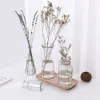 Glass Vase Living Mini Transparent Room Flowers Arrangement Decoration Hydroponic Dried Flower Bottle Creative