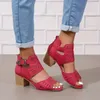 Kleiderschuhe Frauen klobig häschen sandalen peep toe perforiertes Knöchelgurt Mid Heels Back Reißverschluss Design
