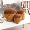 Bambole adorabili cartone animato cuscino di zucca cuscino castagne cuscino ripieno di cuscini da fiaba in stile per bambini decorazioni per bambini accompagnare il giocattolo