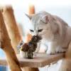 Toys Pet Cat Toy Sparrow Insetti di simulazione a forma di topo Suono spesso peluche per animali domestici interattive.