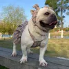 Puppykleding Teddy Fadou Trendy Plaid Headwar Cute Bomei Pet Clothing zomer Dunne hondenkleding mode prinses rok