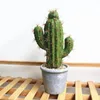 Fleurs décoratives artificielles succulentes durables largement utilisent une fausse simulation de plante en casquette simple de jardin cactus