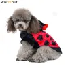 Parkas Warmhut Ny Ladybug Dog Costumes Pet Halloween Cosplay Hoodies bedårande nyckelpiga kattdräkt Animal Fleece Warm Outfits kläder