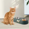 Leveranser hundkatt dubbla skålar avtagbar storlek 34x17.5x6.5 cm anti slip accessoarer Hållbara enkelt att rengöra för små hundar valp bekvämt